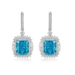 925 Silver Blue Cubic Zirconia Earrings ZHFE0501B